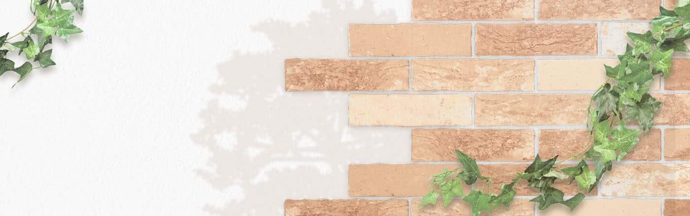 レンズ通販比較紹介2026